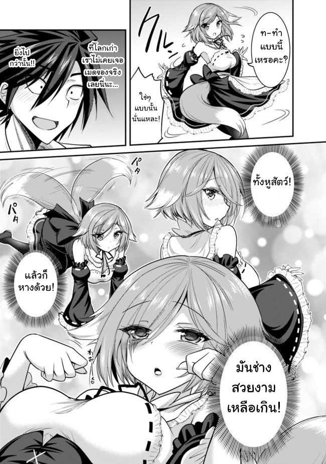 อ่านการ์ตูน มังงะ