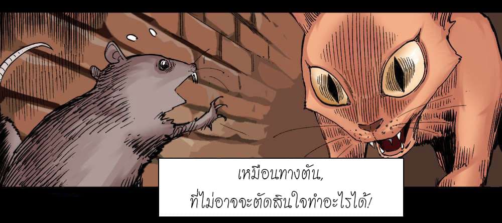 อ่าน The Doctor's Supremacy