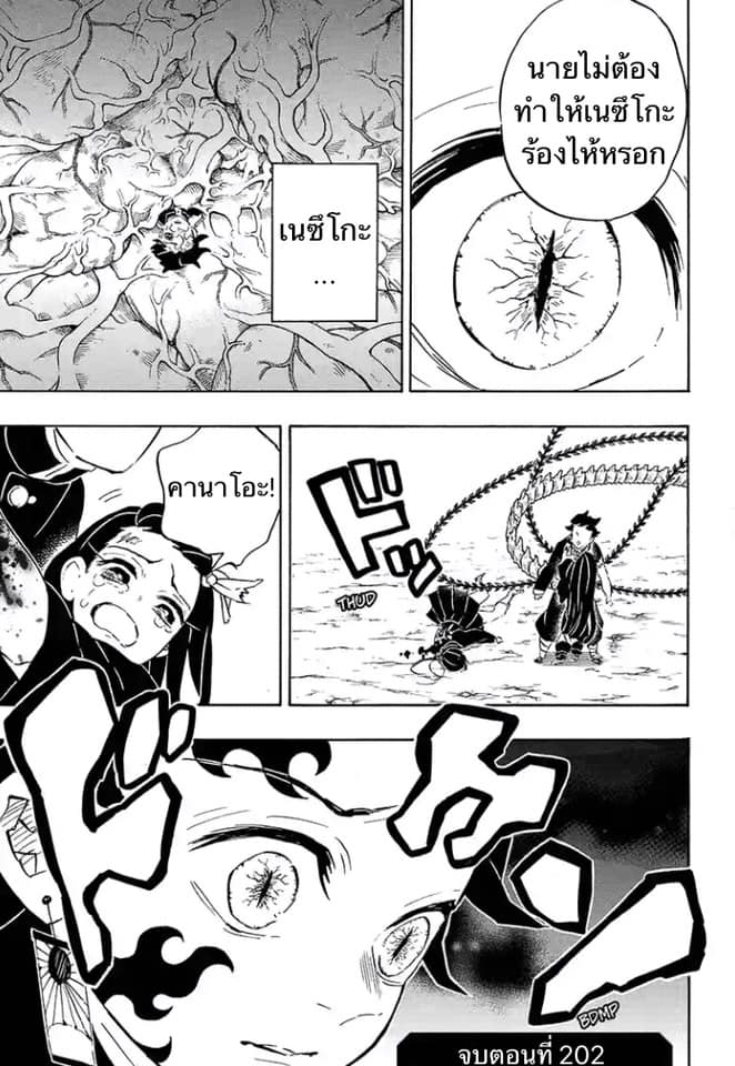 อ่าน Kimetsu no Yaiba