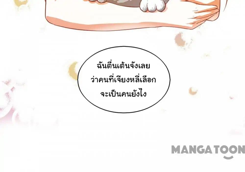 อ่าน Almight Network