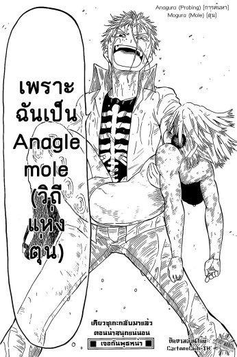 Anagle Mole