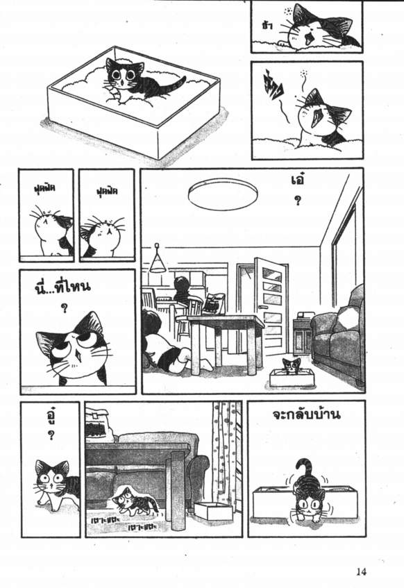 บ้านนี้ต้องมีเหมียว