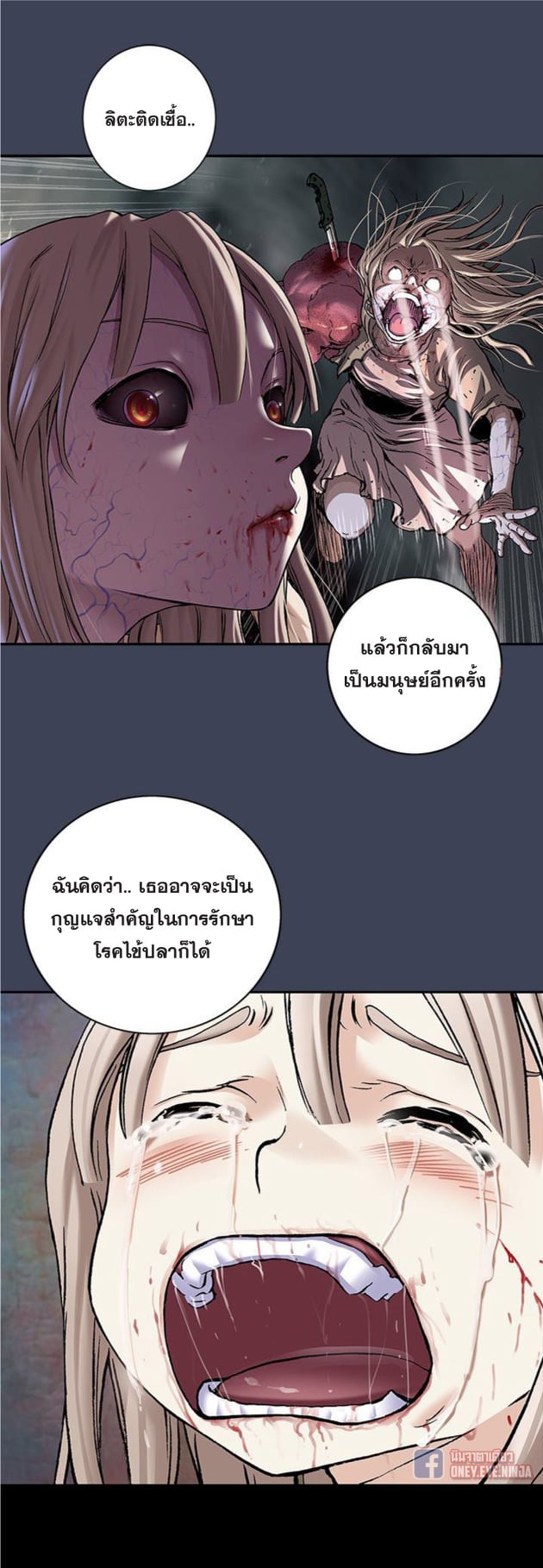 อ่านมังงะ การ์ตูน