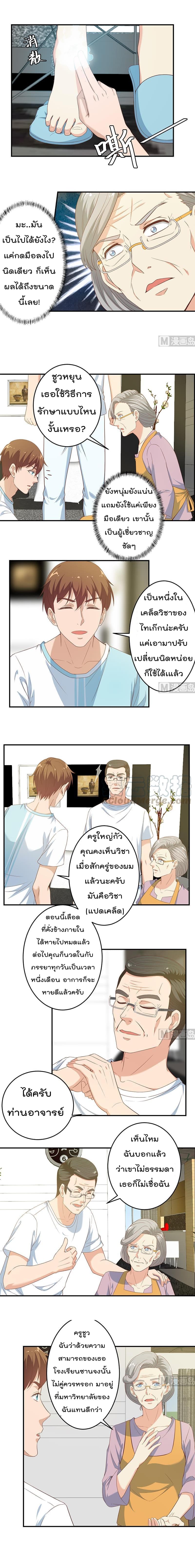 อ่าน Master Cultivation Return