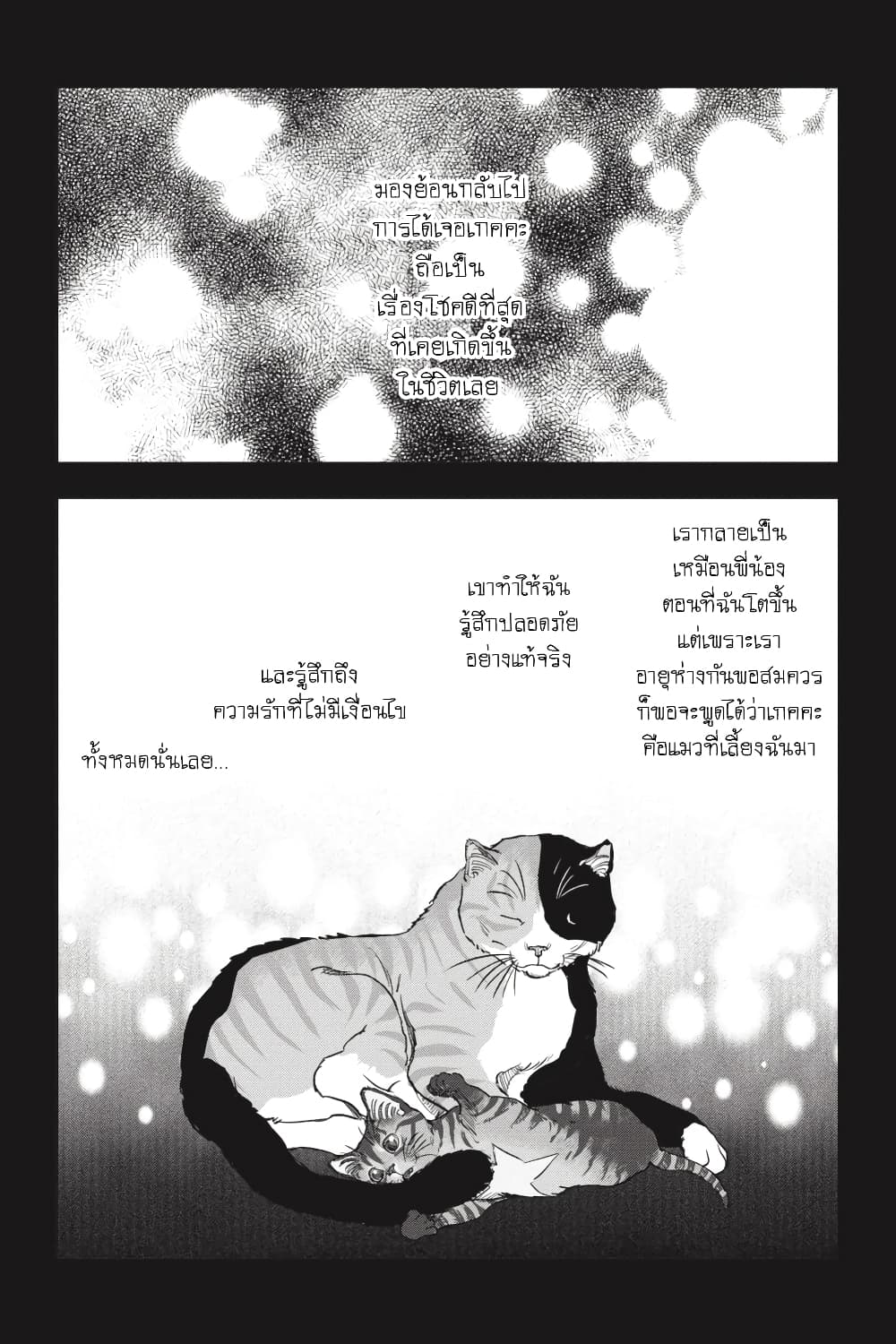 อ่าน Nyankees