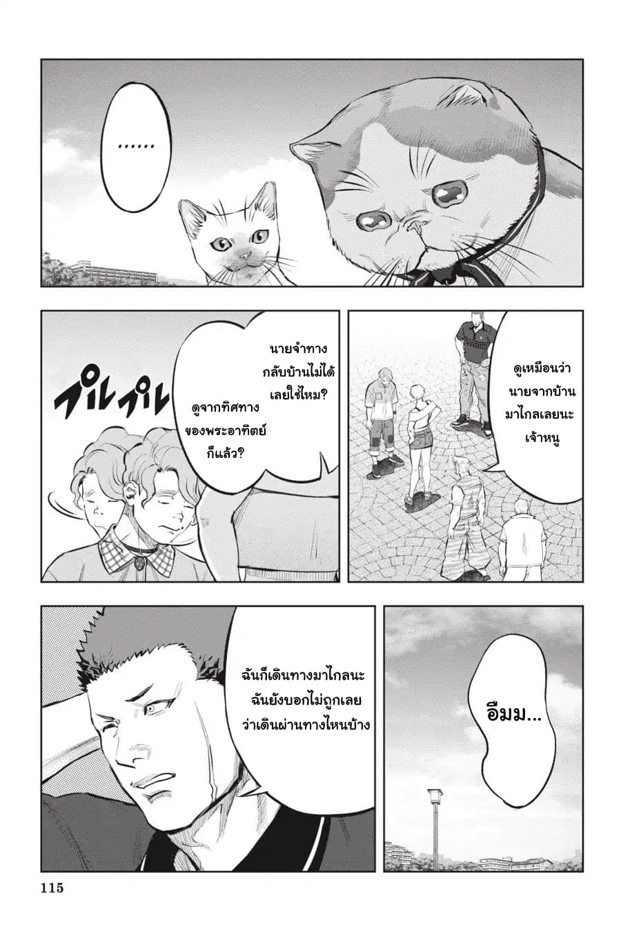 อ่าน Nyankees