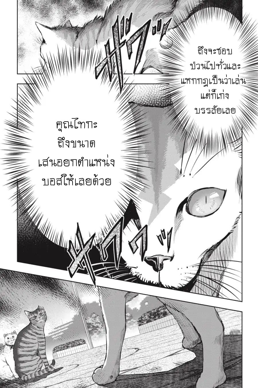 อ่าน Nyankees