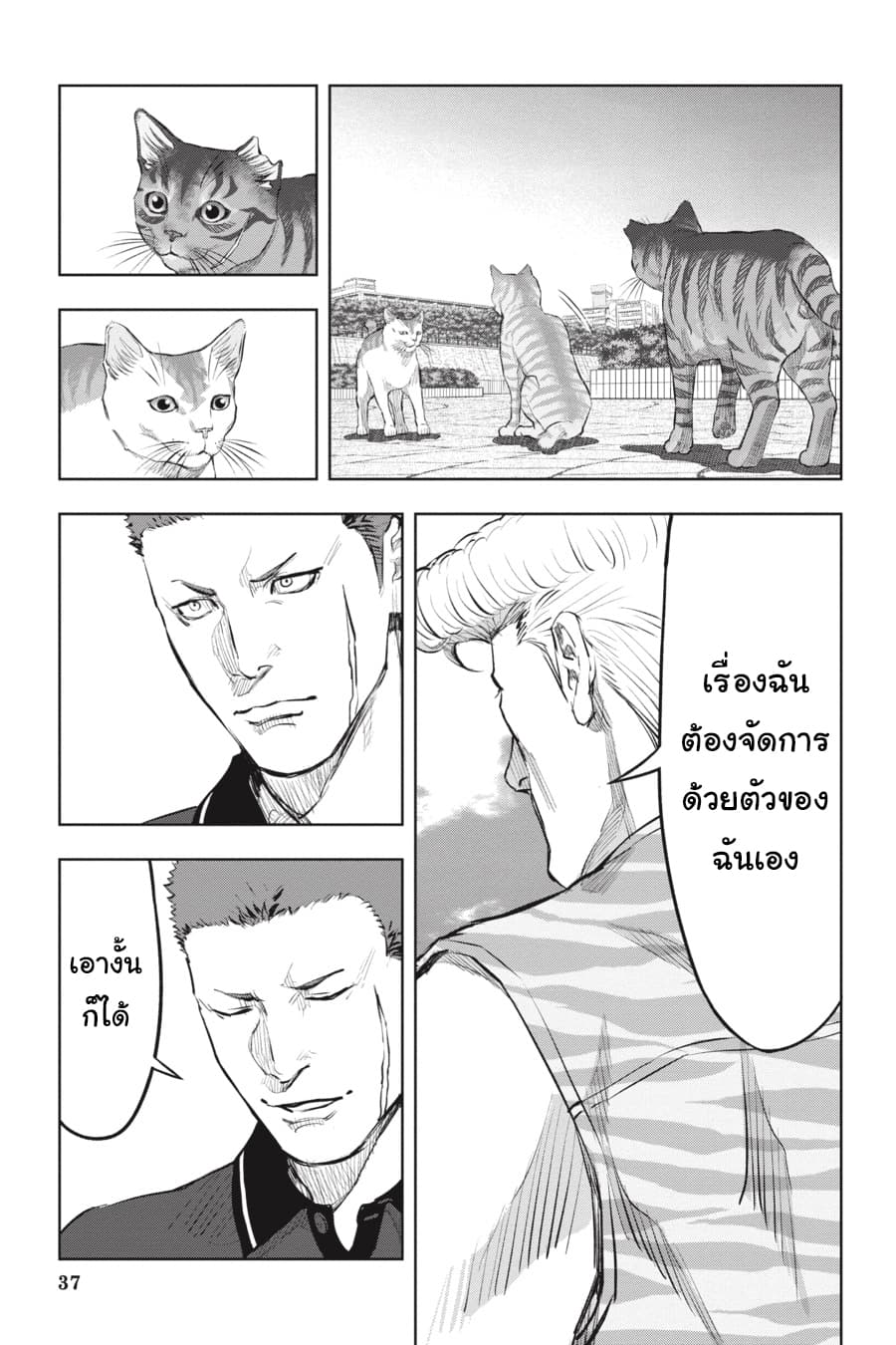 อ่าน Nyankees