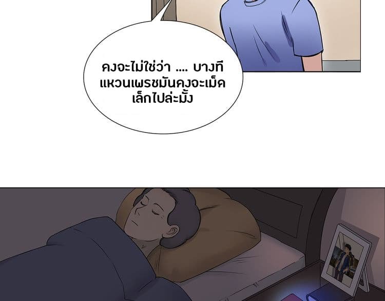 อ่าน Super Cube