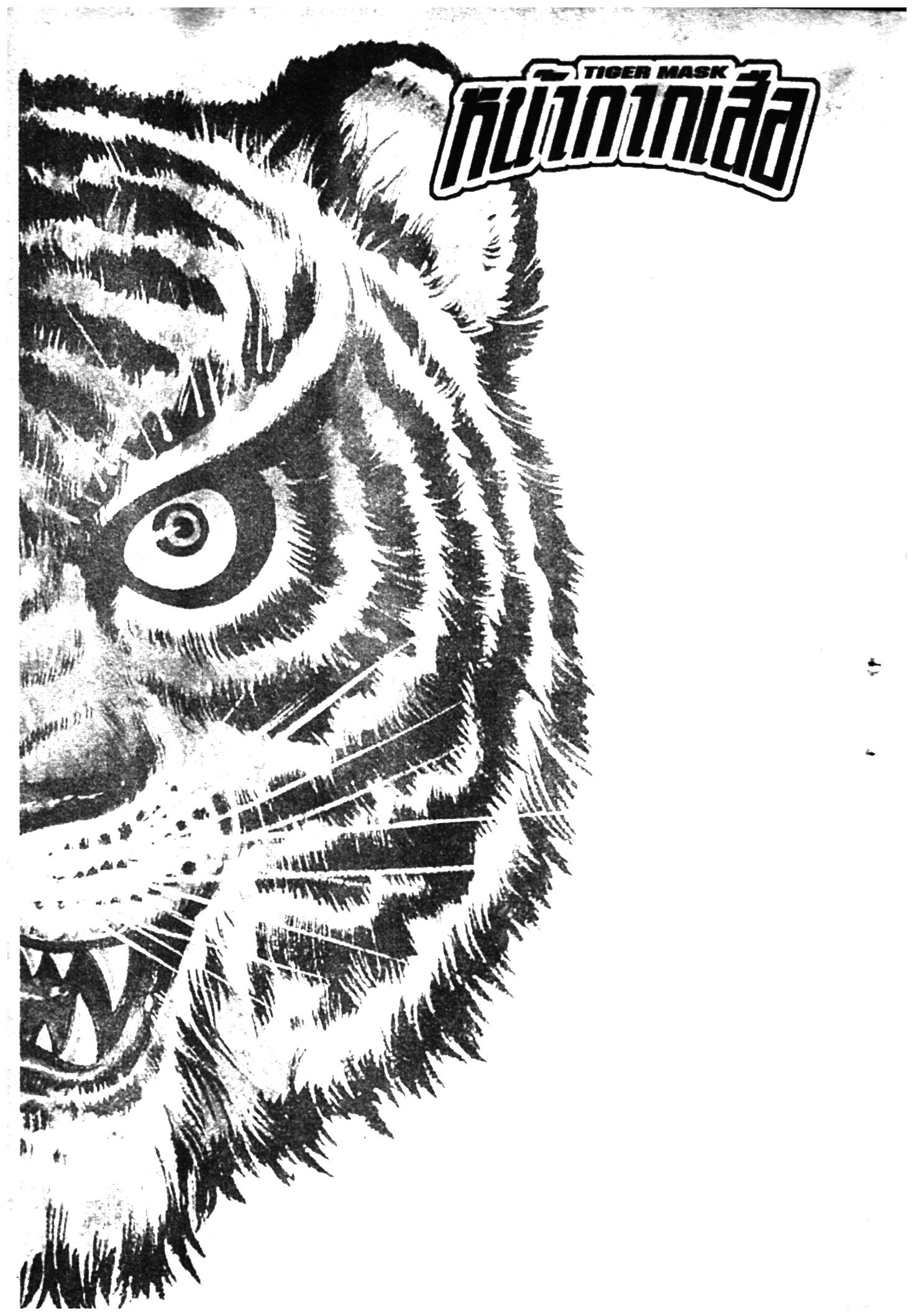 หน้ากากเสือ