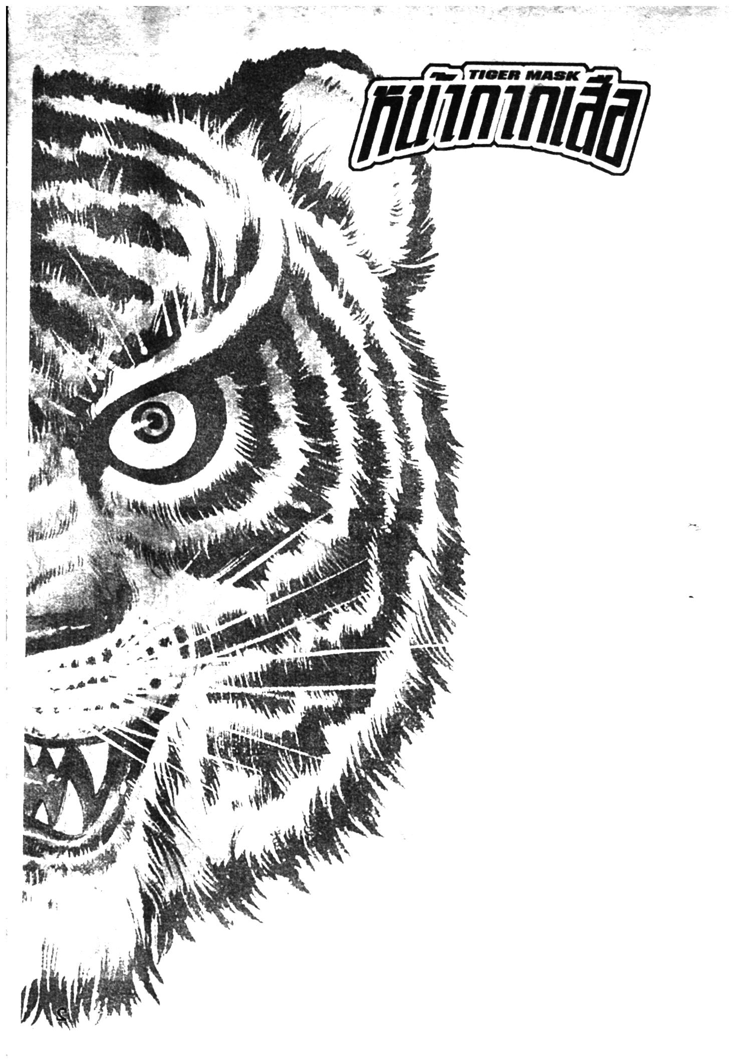 หน้ากากเสือ