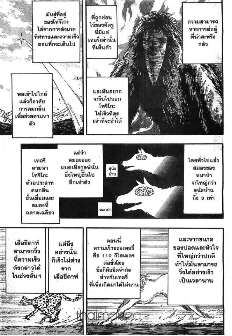 อ่านโทริโกะ