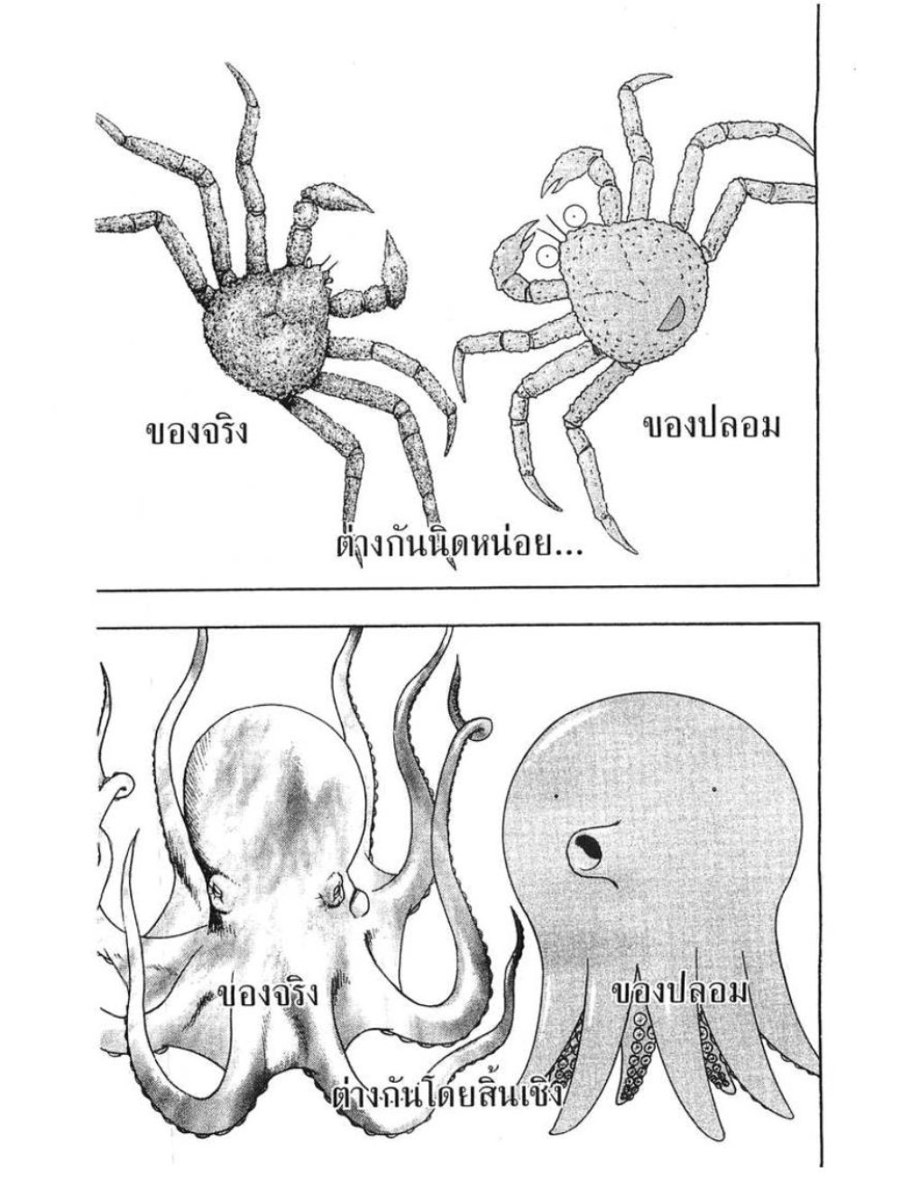 สัตวแพทย์มือใหม่หัวใจเมโลดี้