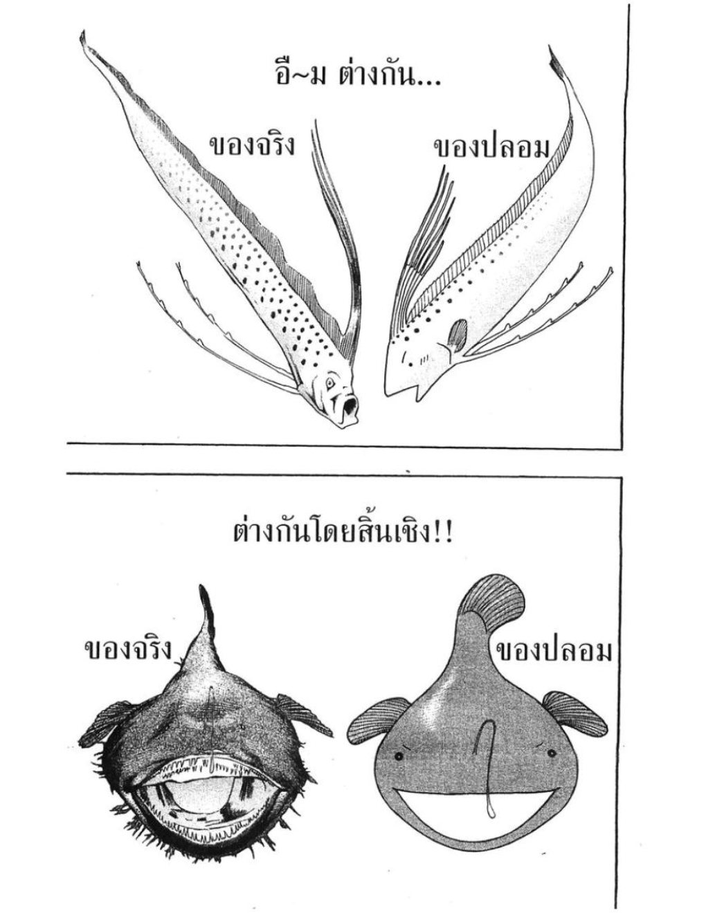 สัตวแพทย์มือใหม่หัวใจเมโลดี้