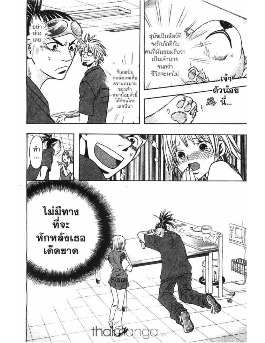 สัตวแพทย์มือใหม่หัวใจเมโลดี้