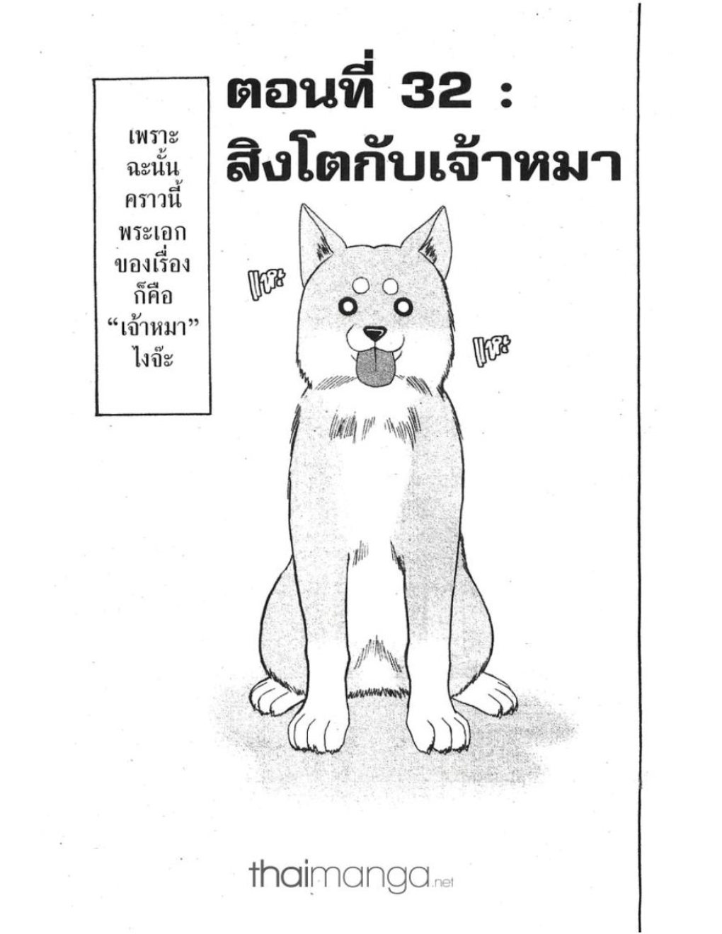 สัตวแพทย์มือใหม่หัวใจเมโลดี้