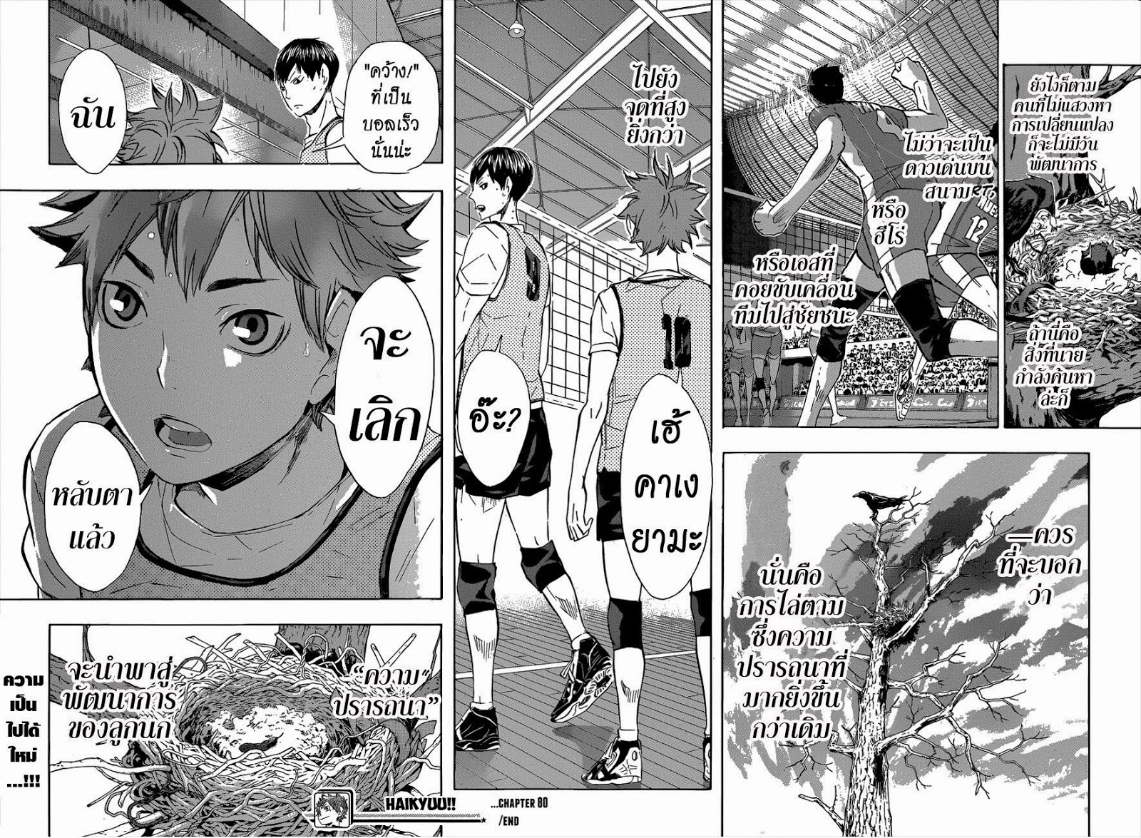 อ่าน Haikyuu!!