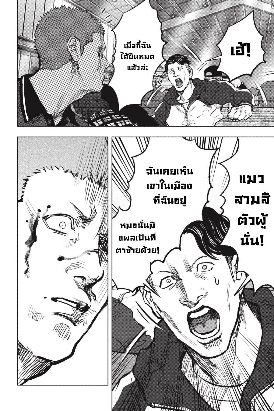 อ่าน Nyankees