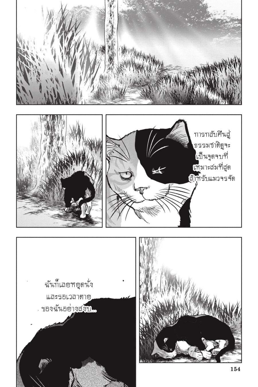 อ่าน Nyankees